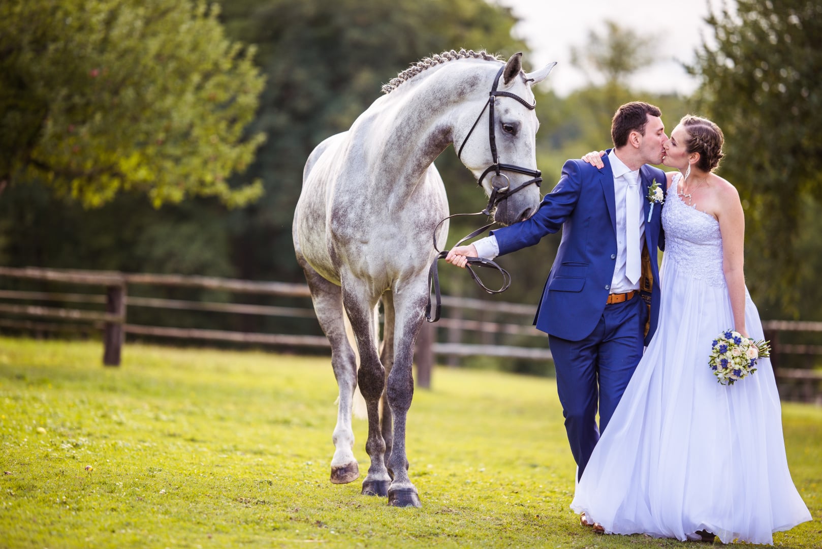 Manually added from URL: https://farmaheroutice.cz/wp-content/uploads/2024/09/DSC03798-1.jpg