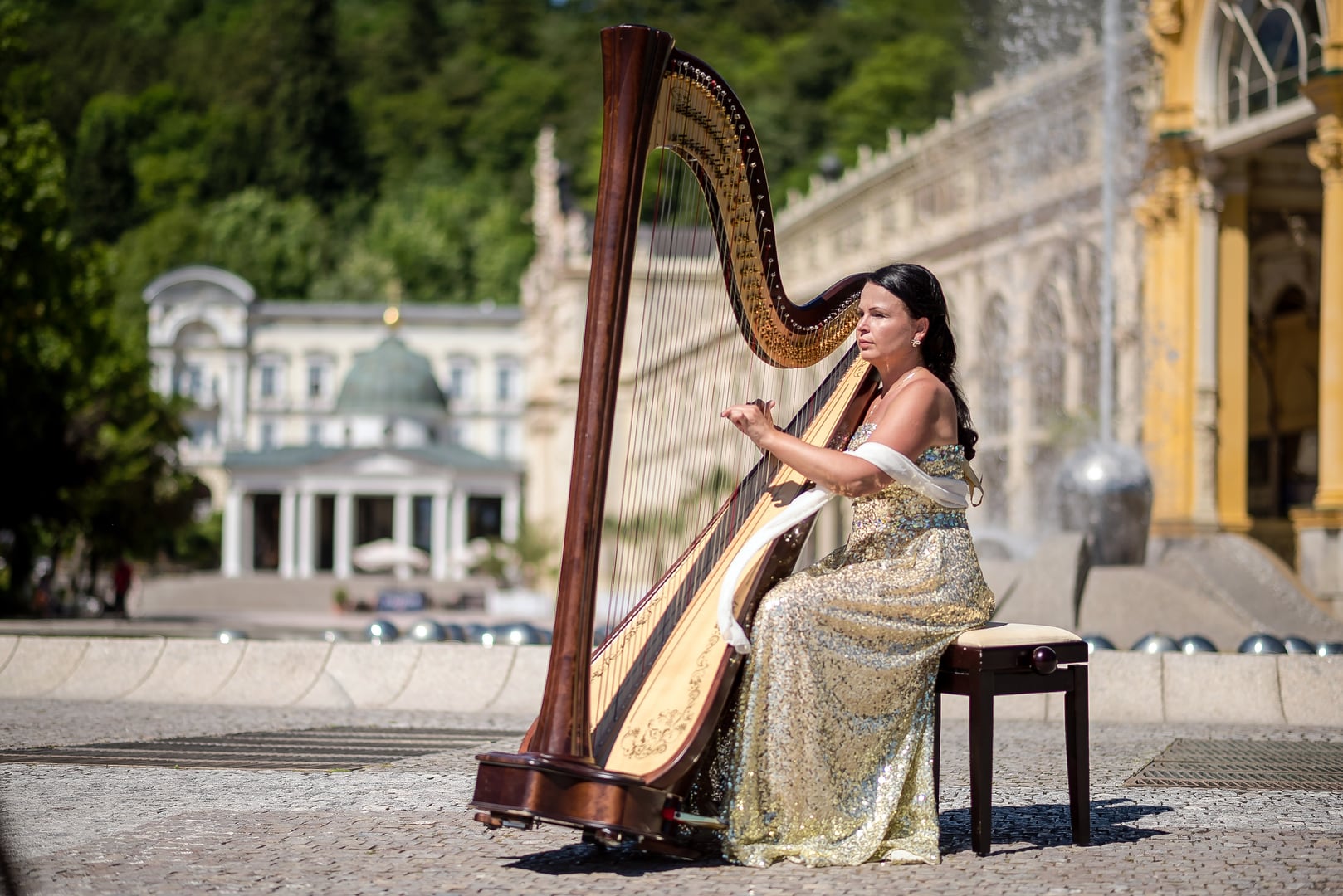 Harpist performance