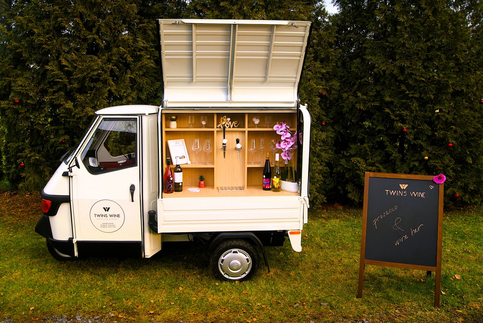 Cover image of Twinswine