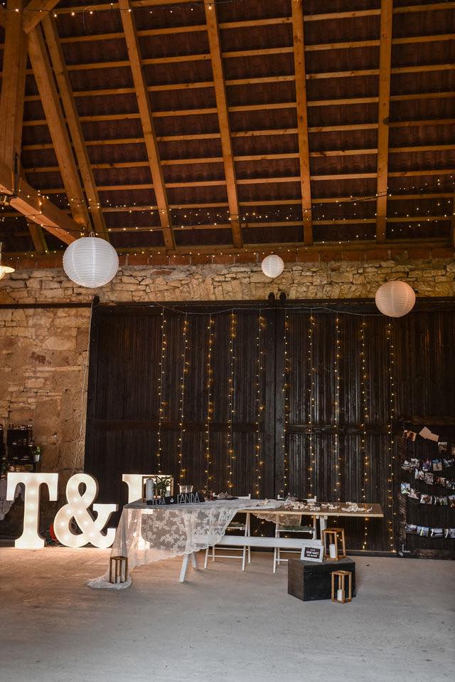 Garden view with solitary tree