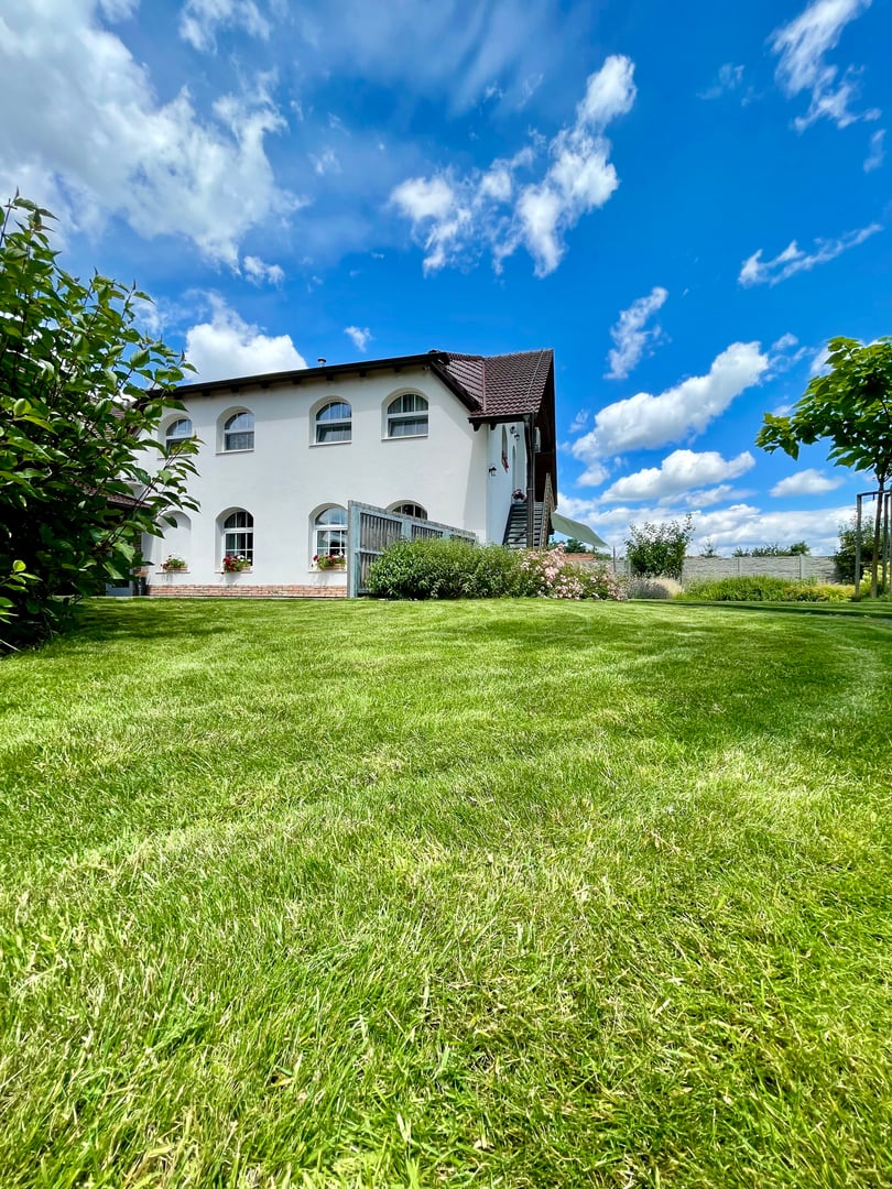 Cover image of Svatba pod Ořechem