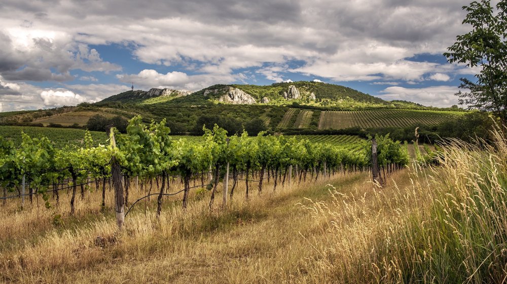 Degustarium má vlastní blog?