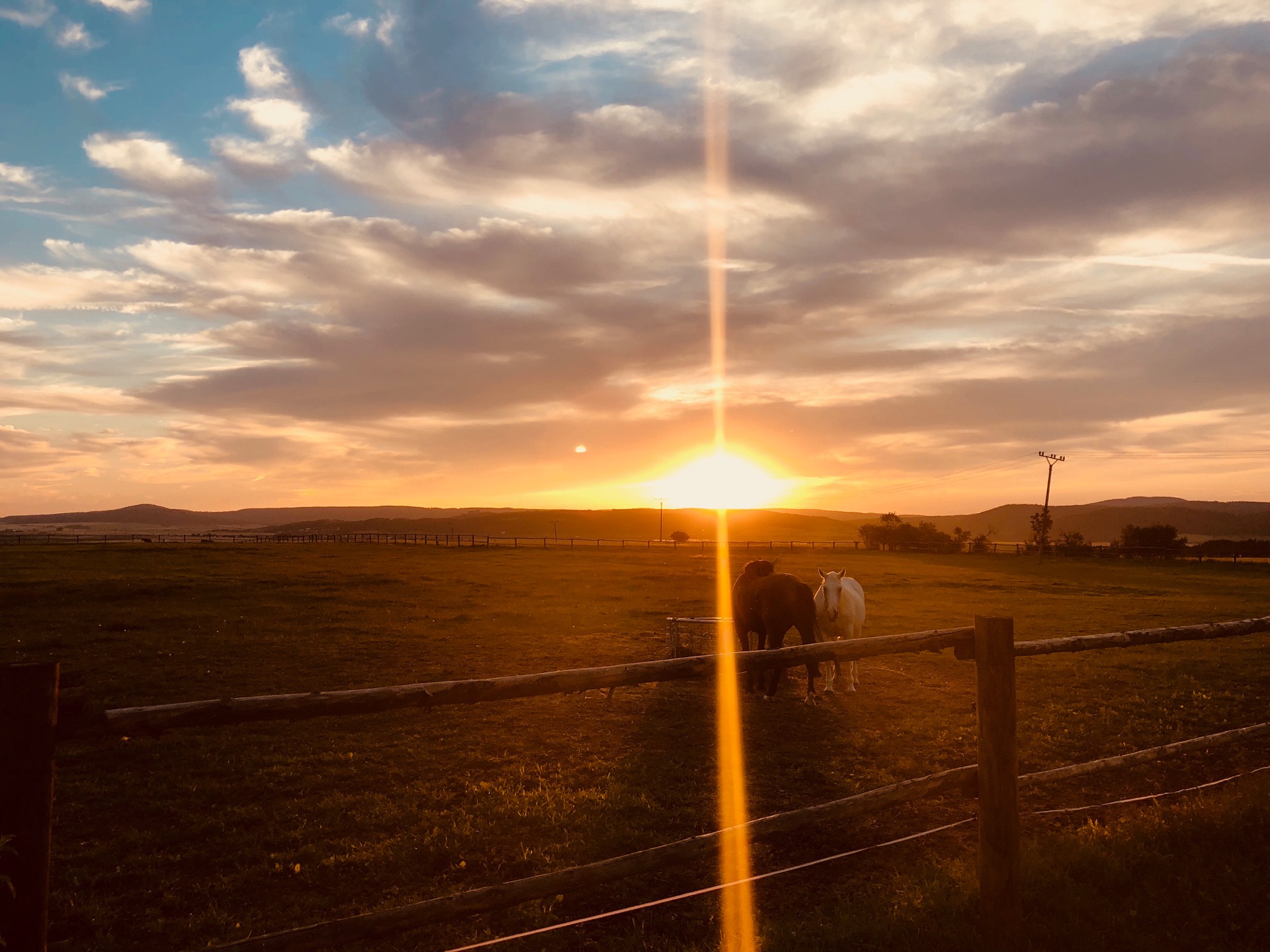 Horse stabling facilities at Statek Kočvary