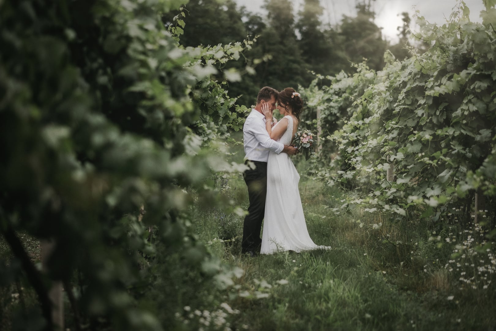 Main image of TILIA vinařský dvůr