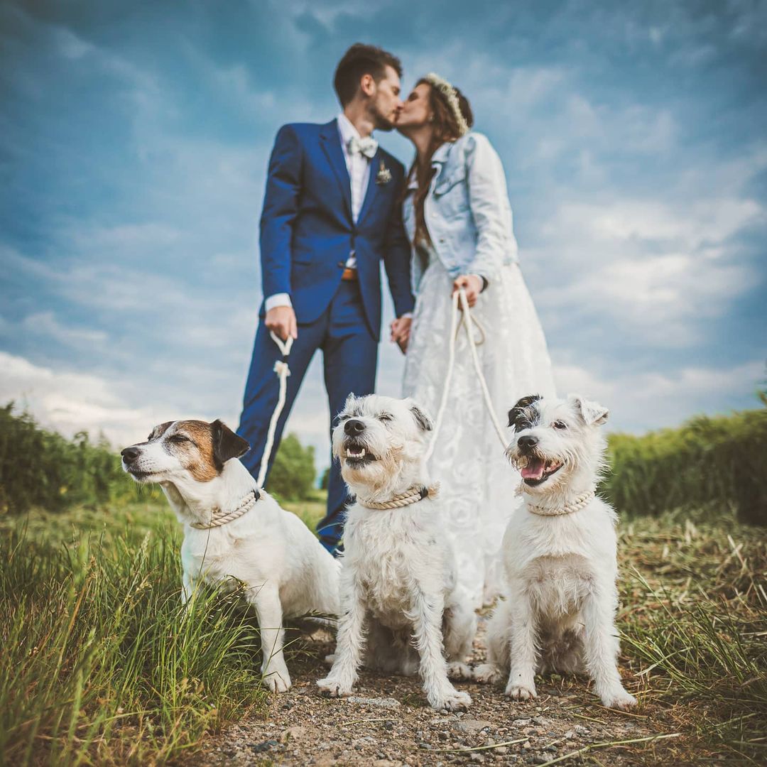 Gallery photo 2 of Dominik Kučera