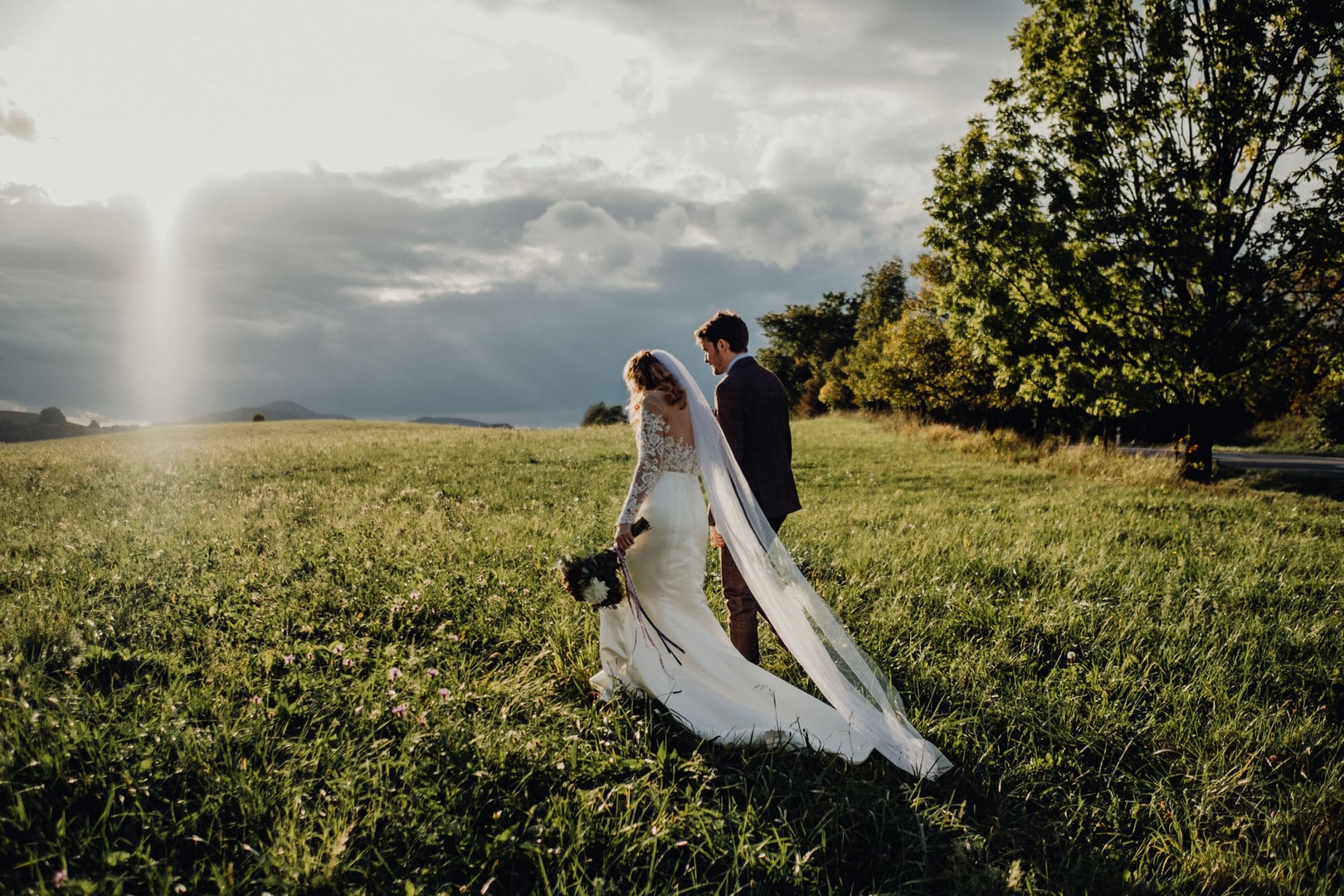 Cover photo Collett 0746