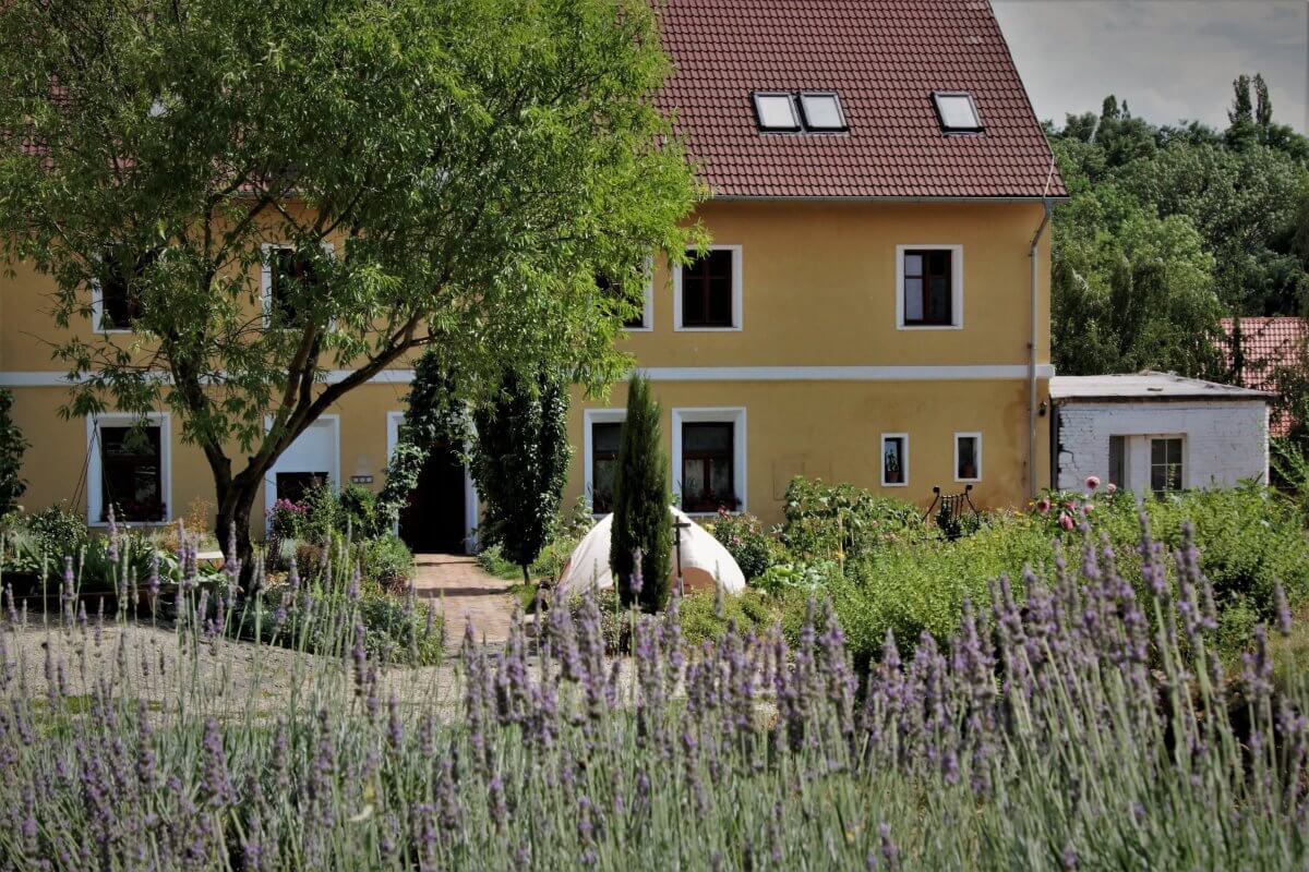 Statek Luníkov, levandule