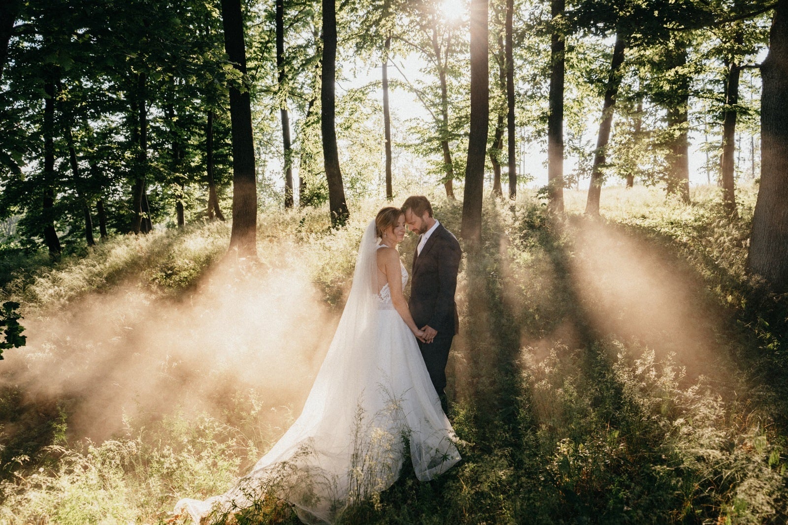 Wedding gallery photo 471