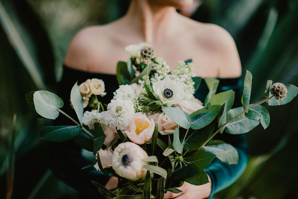 Cover image of Barbora Rous Květová