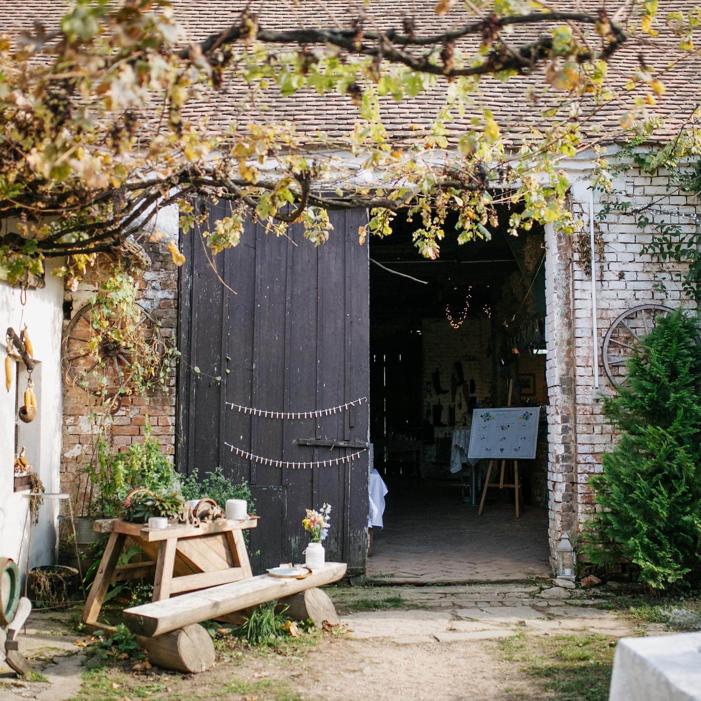 60351328_1812368168863032_5134710484146061312_n