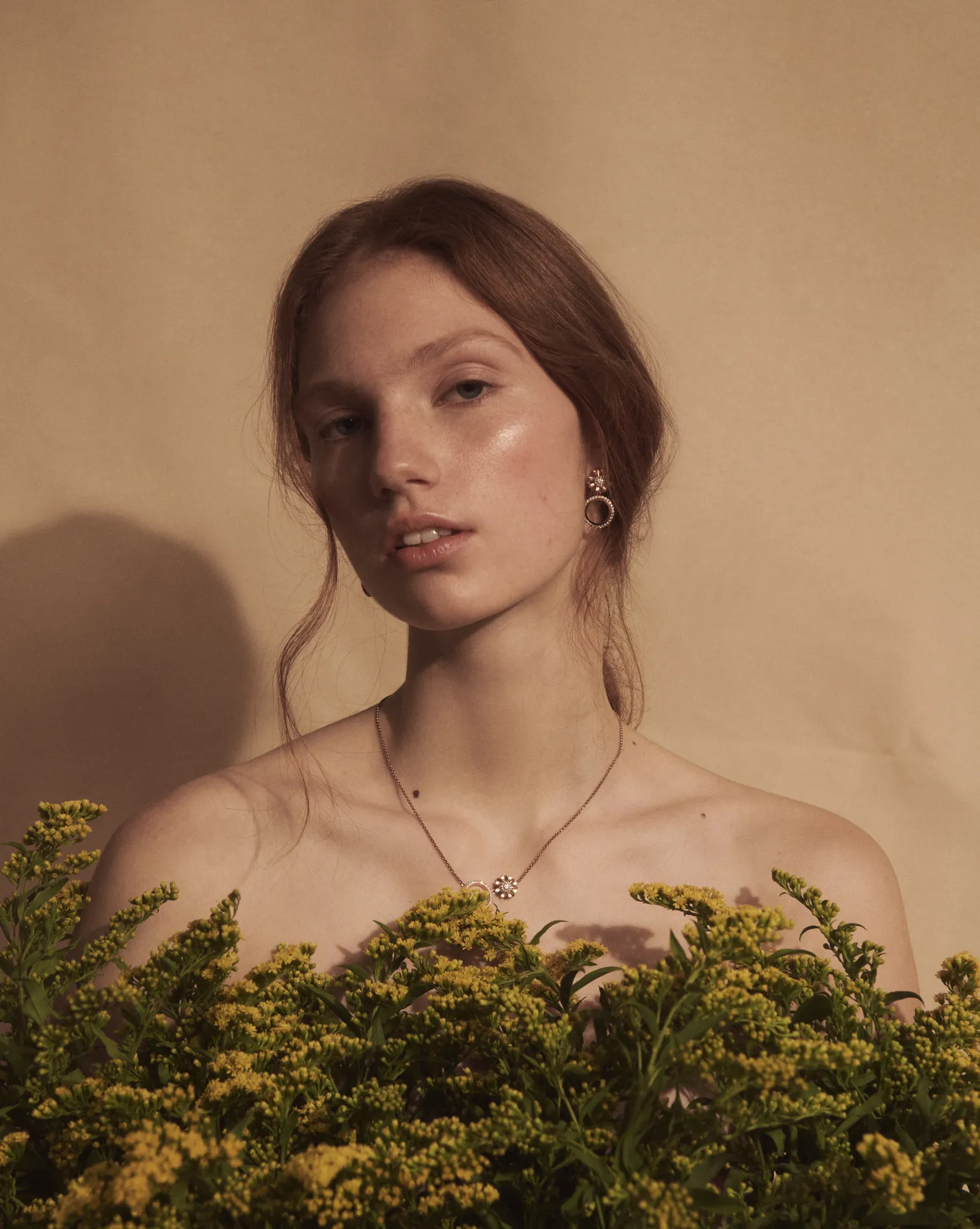 Manually added from URL: https://www.korbicka.com/res/crc-637273736/pages/images/1544x1936crop/4l-230224-korbicka-gerbery-1-54938-highres.webp