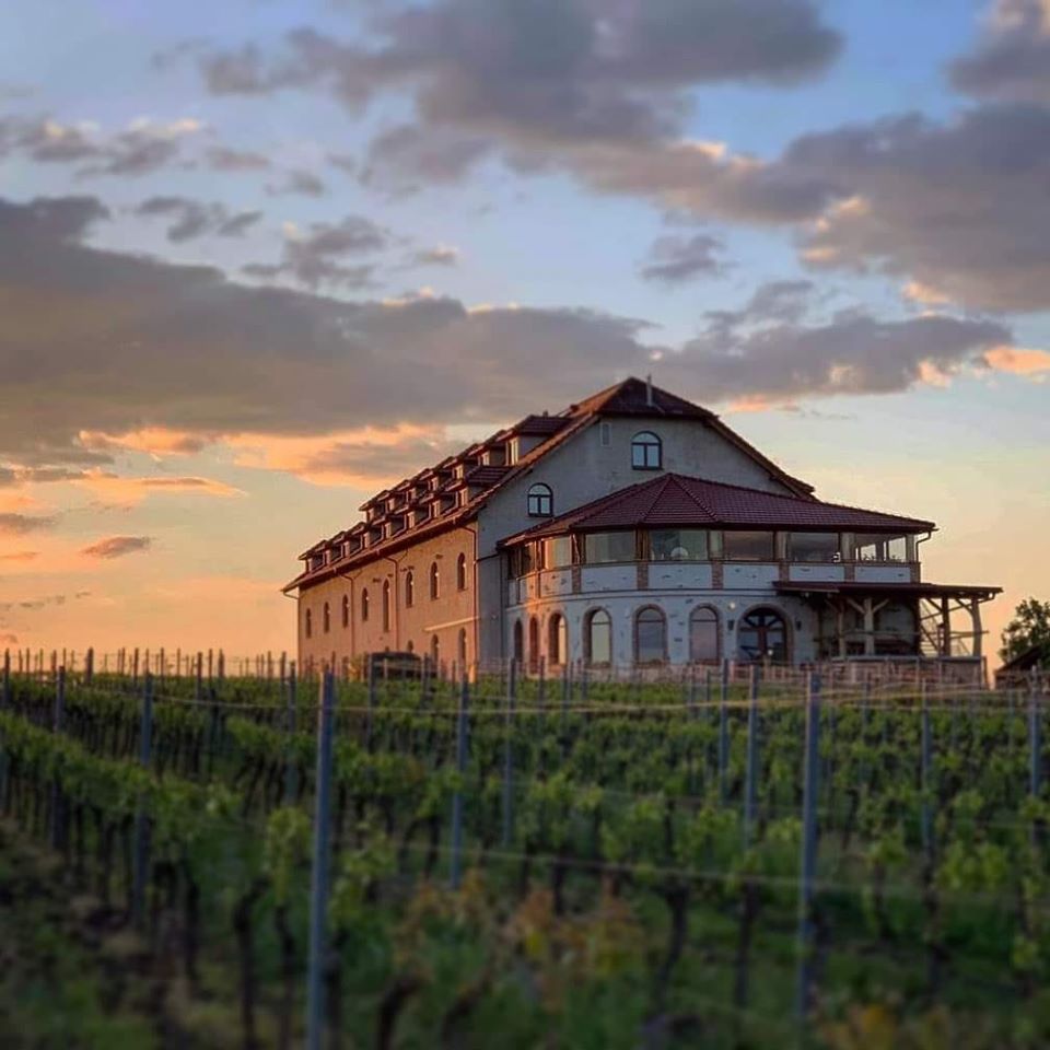 Vinařský dům Dominant Rakvice