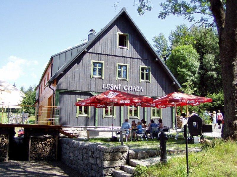 Lesní chata logo