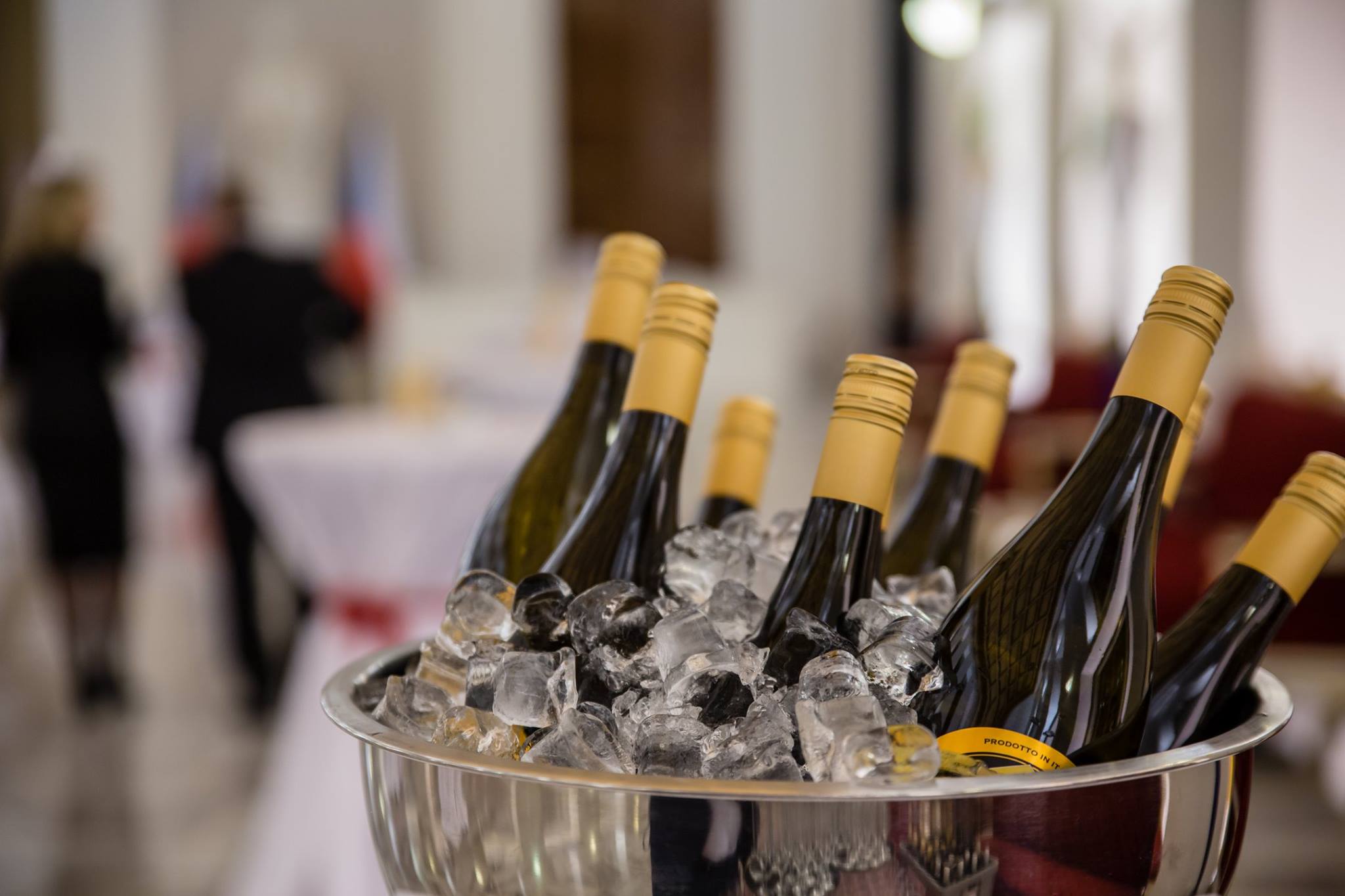 Manually added from URL: https://scontent-prg1-1.xx.fbcdn.net/v/t1.6435-9/29389386_10156012584776648_2182471018528899072_n.jpg?_nc_cat=100&ccb=1-7&_nc_sid=cf85f3&_nc_ohc=i-K_SXRW2PQQ7kNvwHuCSe5&_nc_oc=Adm7t19U4DSyLDDoS-spITNAnpgXCRlHireEqm3R5I1zrJq2yTdIOgQSzwQN-kbgCXc&_nc_zt=23&_nc_ht=scontent-prg1-1.xx&_nc_gid=7hiEkA36H6YxKTBZhI80LA&oh=00_AfZ7jEl-Y3CNpqSoA6pxAxPELO4Jb5vUH2EJc9_isKeLWA&oe=6900E2A5