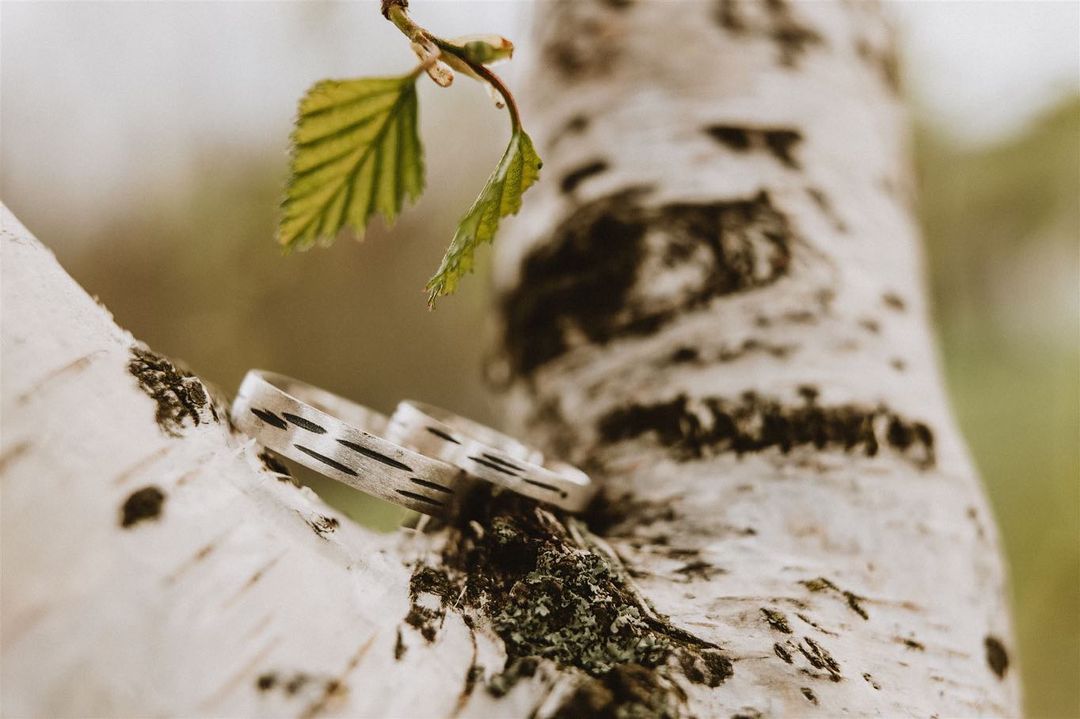 Gallery image 195098562