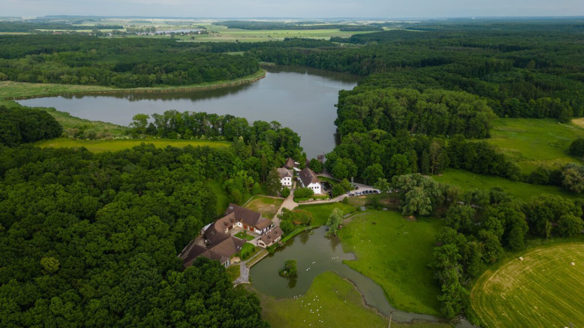 DJI aerial view of cycle path