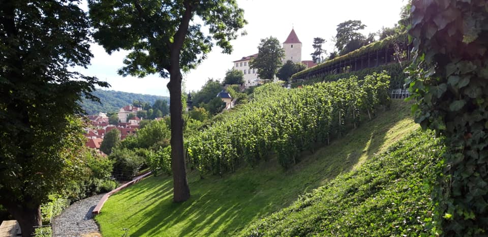 Villa Richter exterior