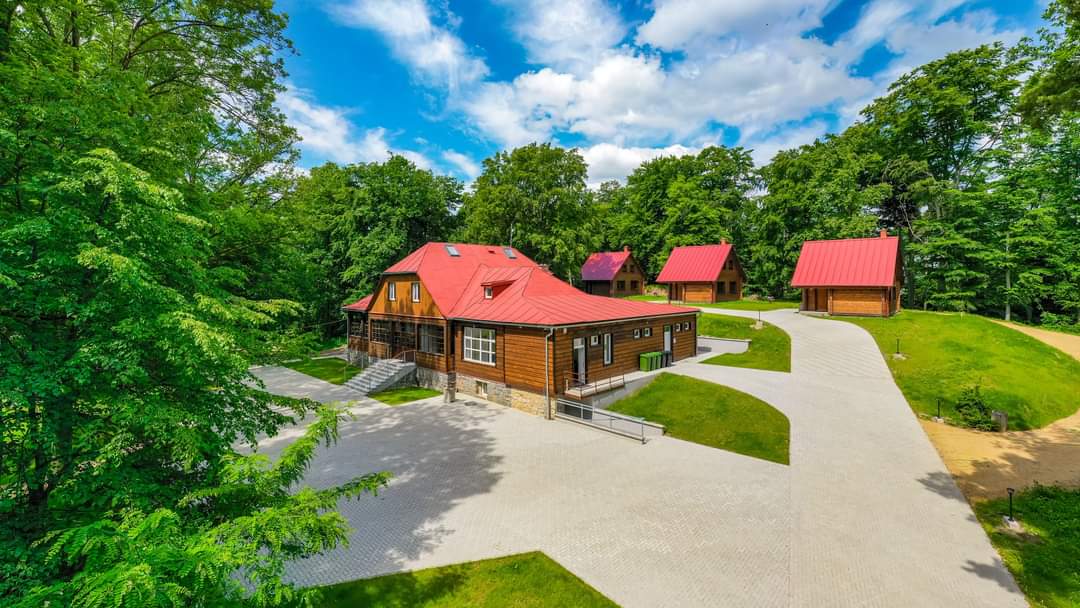 FB_IMG_1689082519146