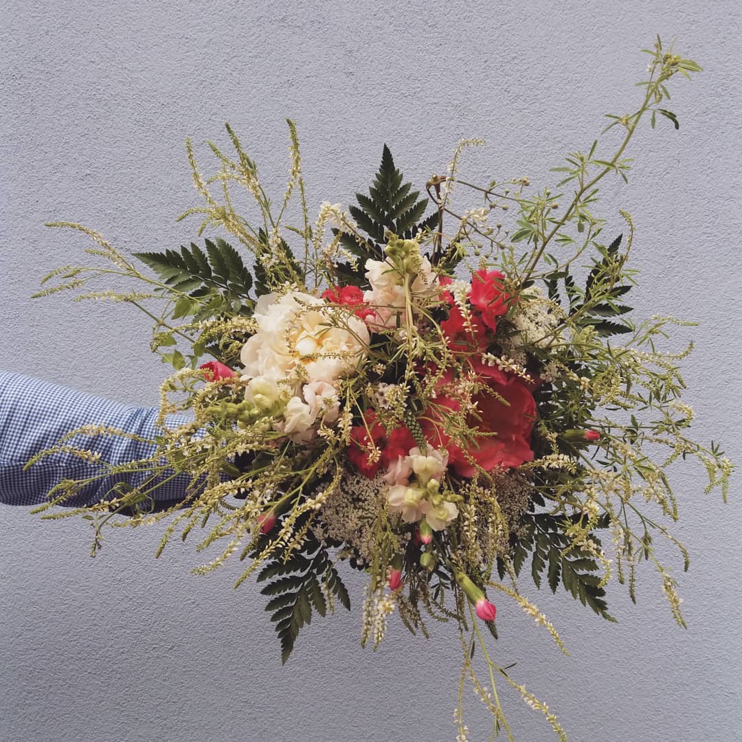 Kvítí z lesa cover photo