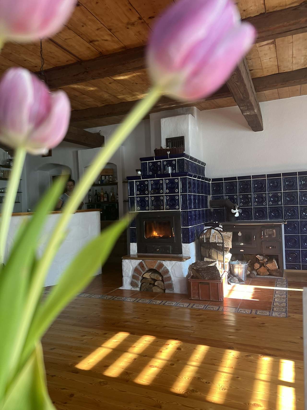 Manually added from URL: https://www.e-chalupy.cz/krkonose/_19637/svetnice-0db0-.jpeg