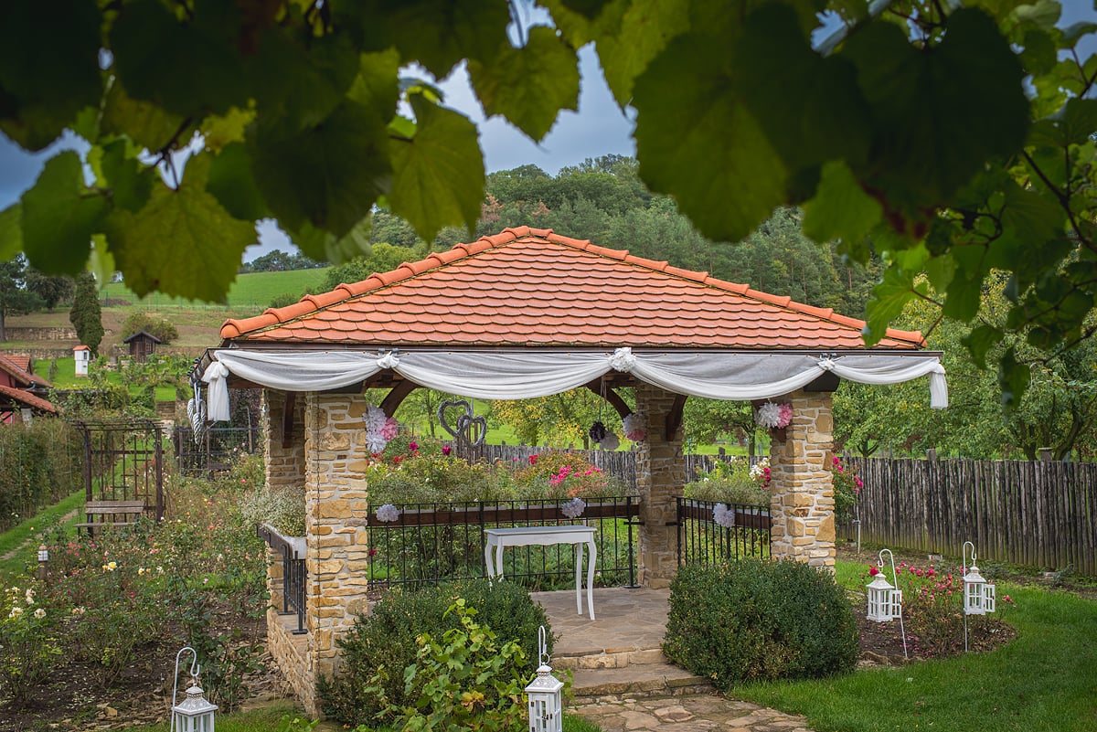 Pension Roseta photo 1