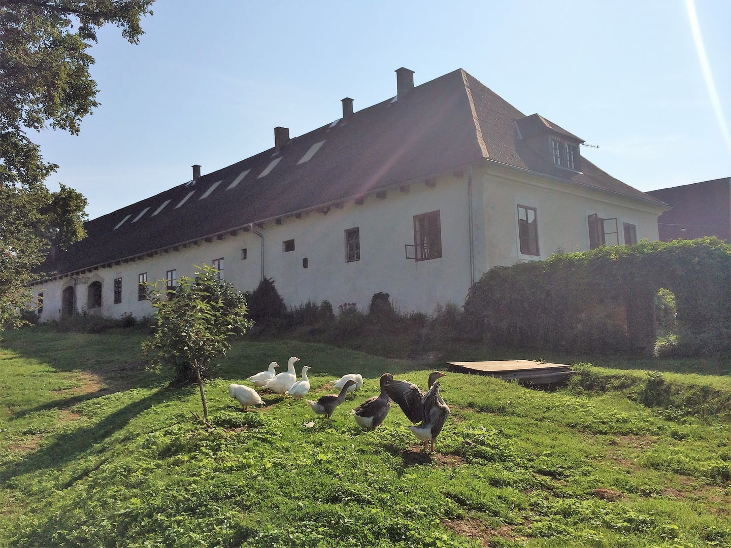 Manually added from URL: https://www.statekdolnioldris.cz/wp-content/gallery/zivot-na-statku/IMG_2377.JPG