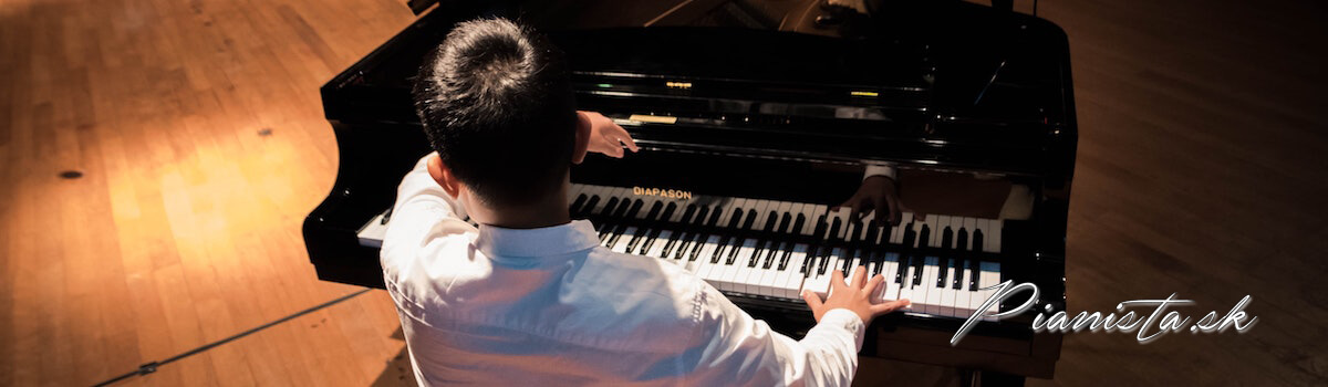 Pianista Peter Zbranek gallery image 2