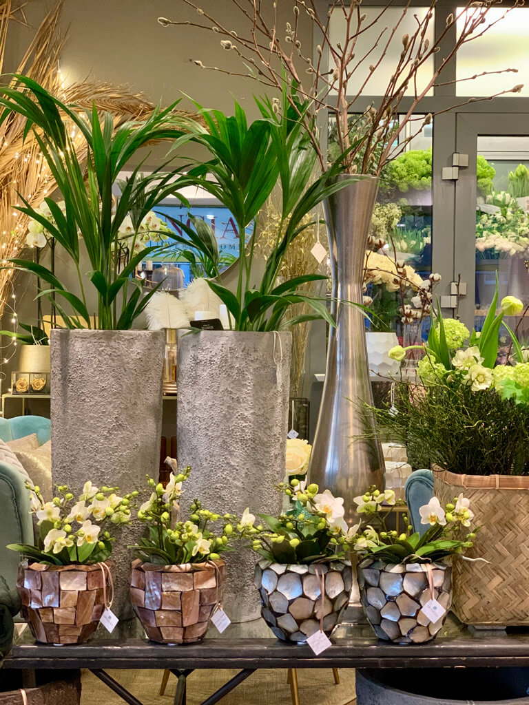 ARANGIA floral arrangement