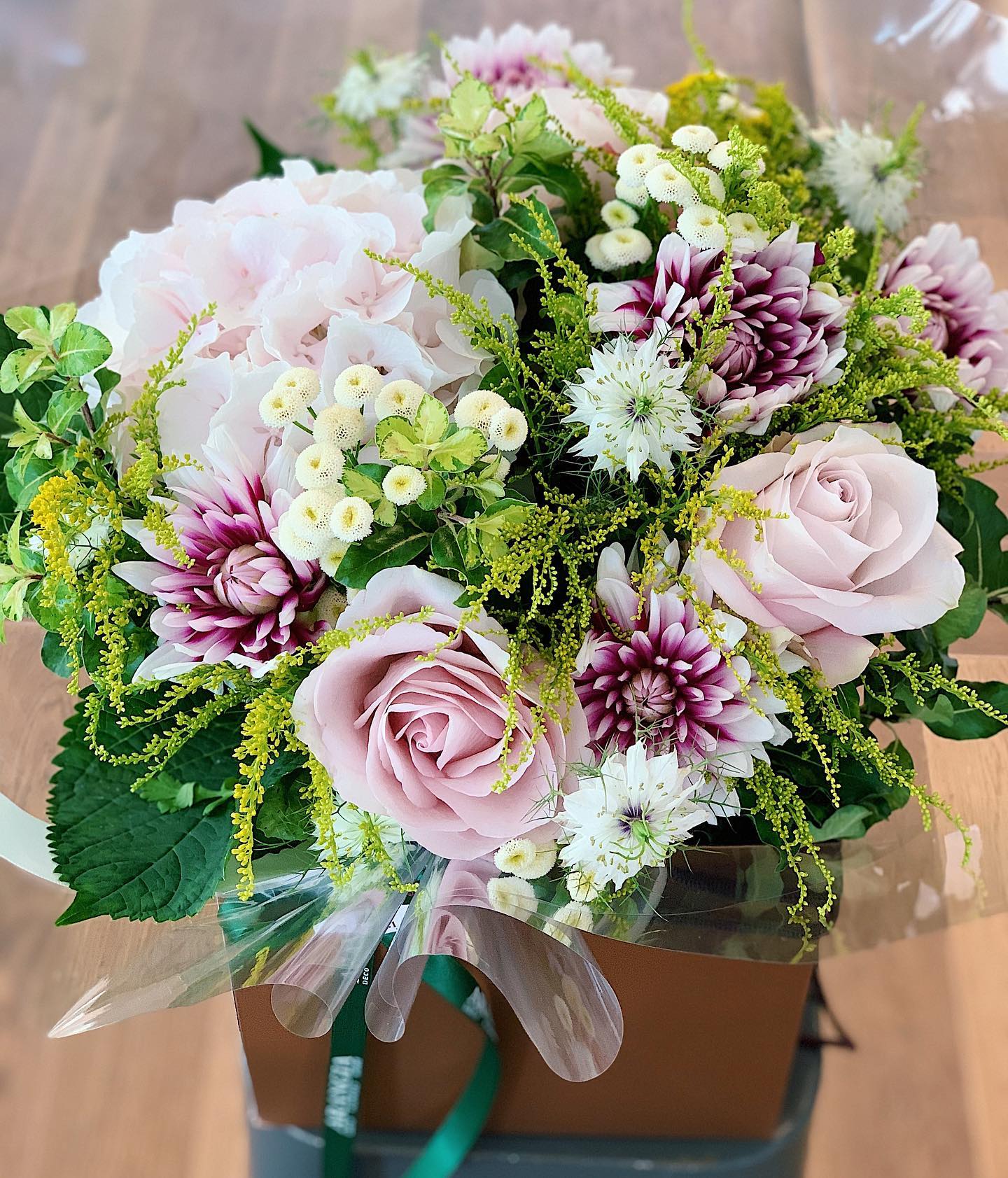 ARANGIA gallery image 2