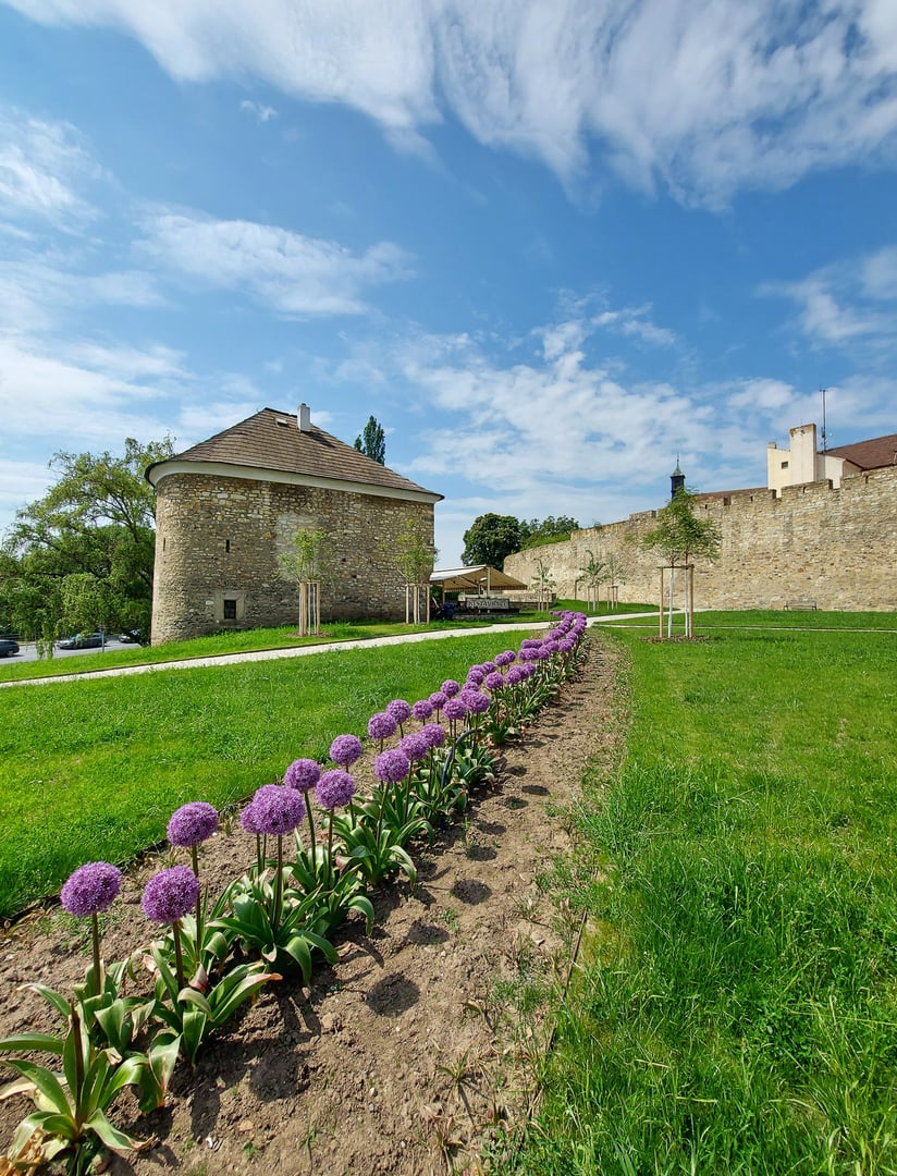 Venue gallery image 2