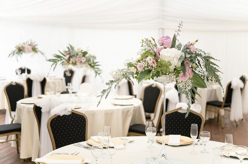 Manually added from URL: https://ryzmburk.cz/wp-content/uploads/2024/08/56E7CAC9-25AA-4860-8DC7-9F8A11B252C1.jpeg