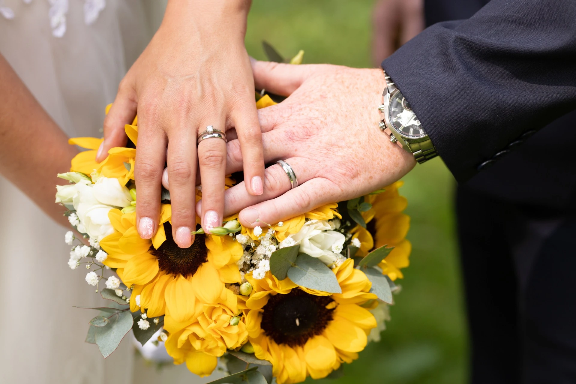 Manually added from URL: https://32d526c232.clvaw-cdnwnd.com/b918c86f47e66201aefec0f6d97ca146/200000317-5590d55910/IMG_3101-5.webp?ph=32d526c232