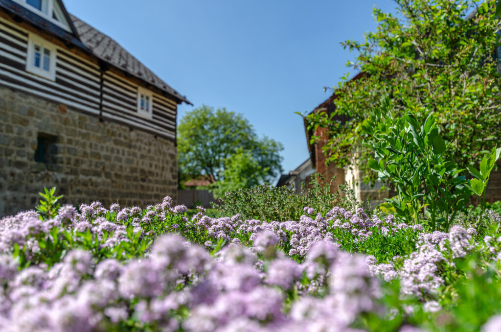 Manually added from URL: https://homutuvstatek.cz/wp-content/uploads/2025/07/rdk1305-1024x678.jpg