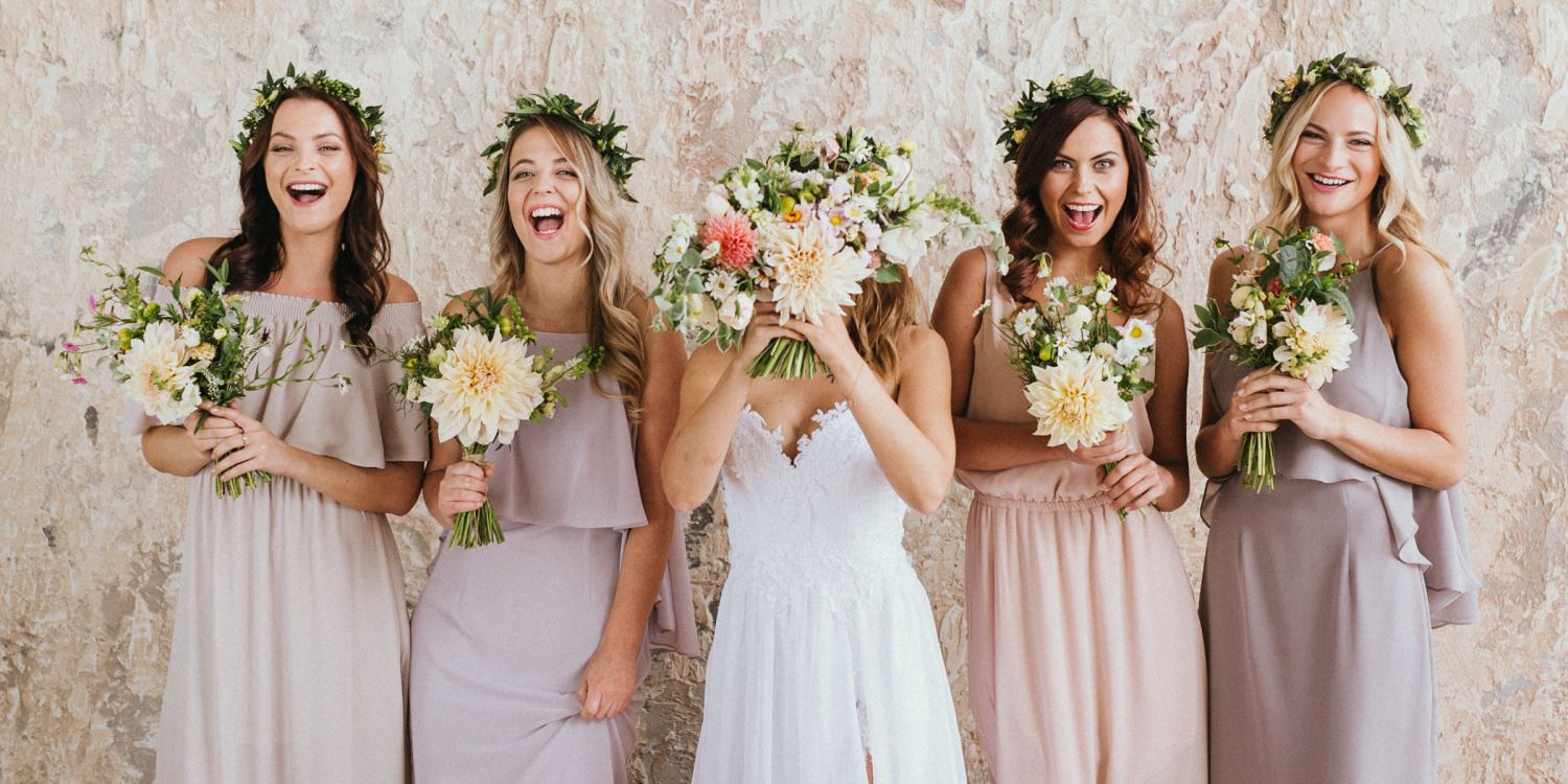 Cover image of Družičkování