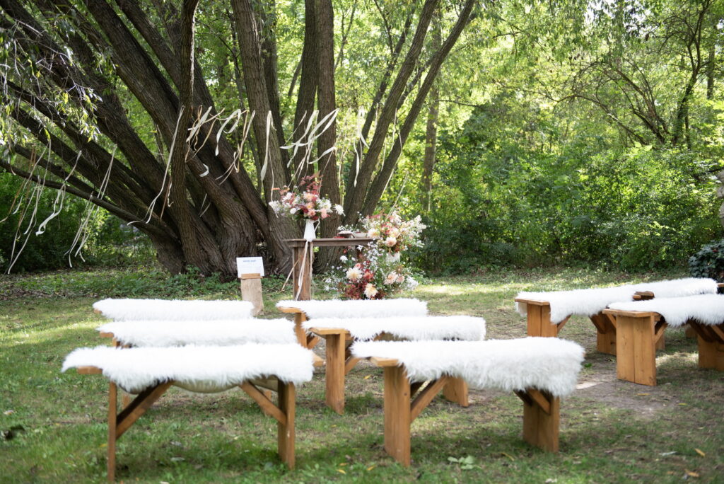 Manually added from URL: https://www.modrymlyn.cz/wp-content/uploads/sites/2/2024/01/modry-mlyn-006-1024x684.jpg