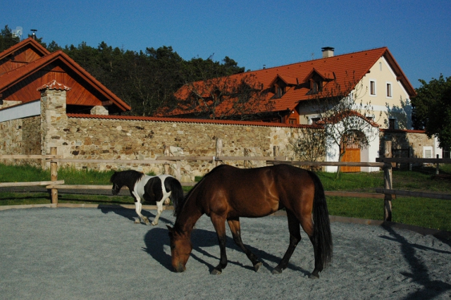Penzion Maštal with horses