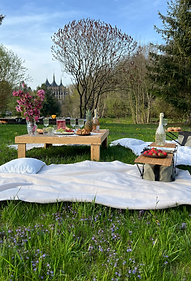 Wedding picnic setup with decorations