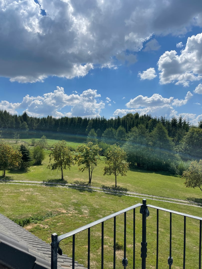 Kosovy gallery image 2