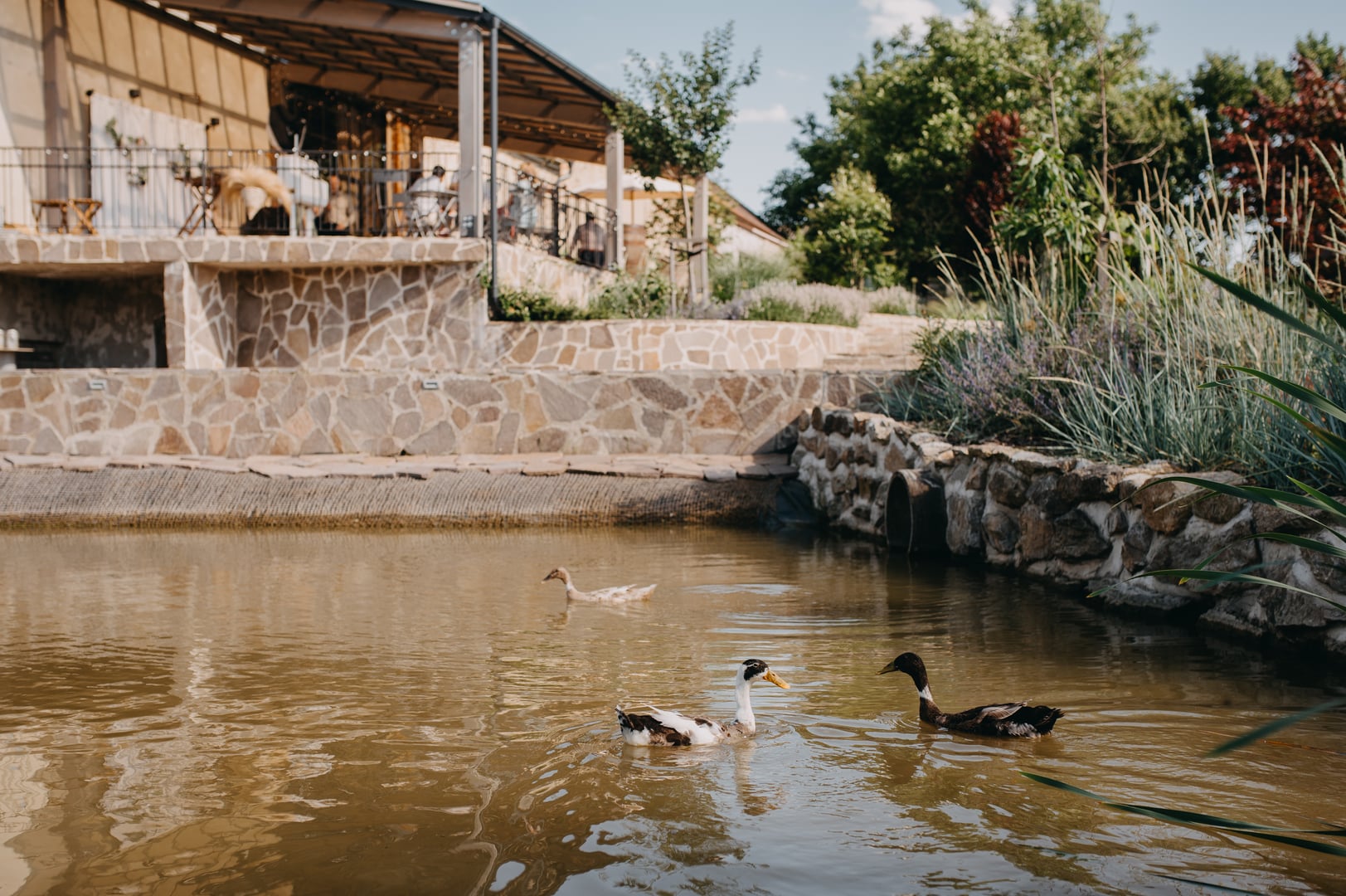Pond at Statek Šemíkovice