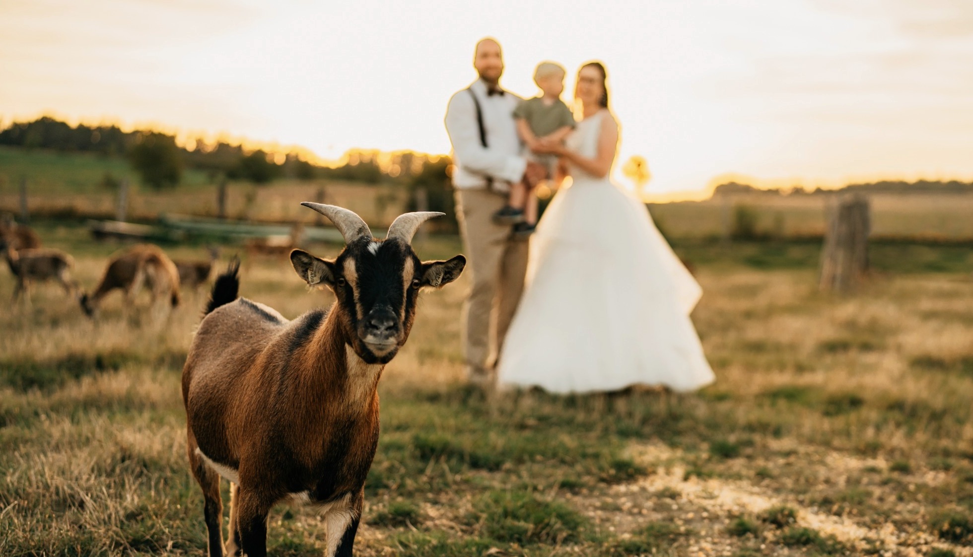 Statek Šemíkovice exterior