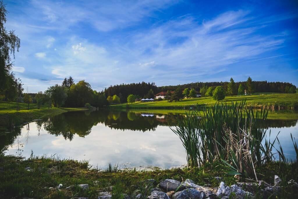 Borovinka photo gallery