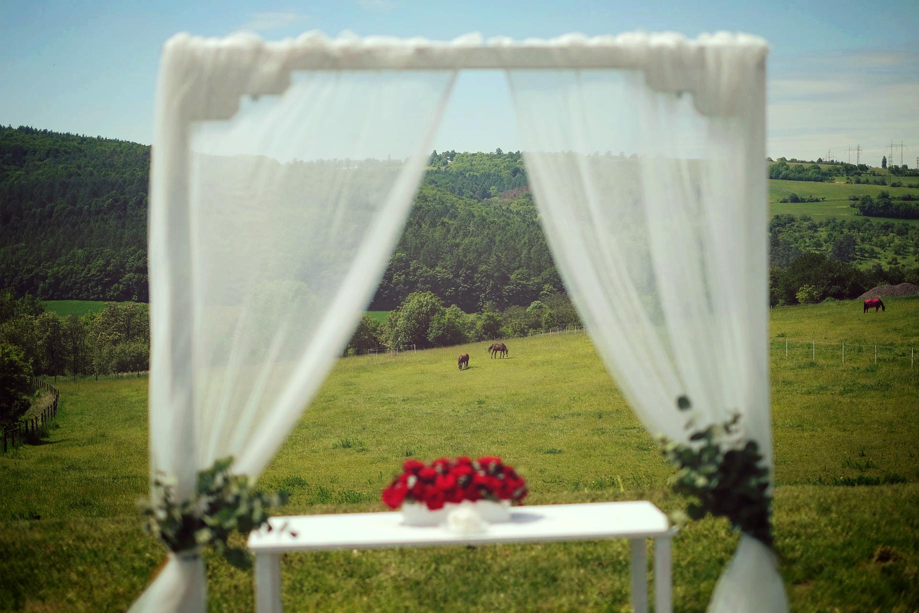 Manually added from URL: https://www.ranc-milovice.cz/css0/01.jpg