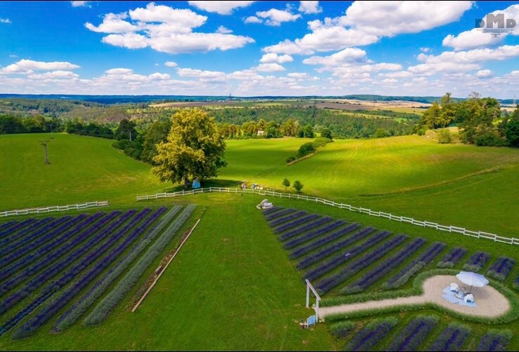 Cover image of the venue