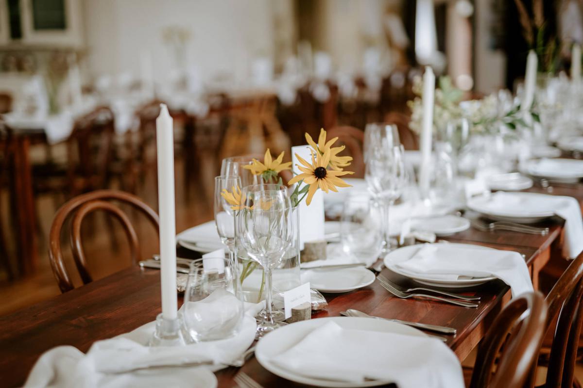 Manually added from URL: http://vltavenka.cz/wp-content/uploads/photo-gallery/292419245_431522338846005_6283635446605306532_n.jpg?bwg=1660644912