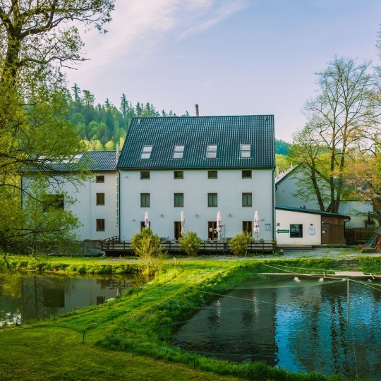 Davidův mlýn spring image
