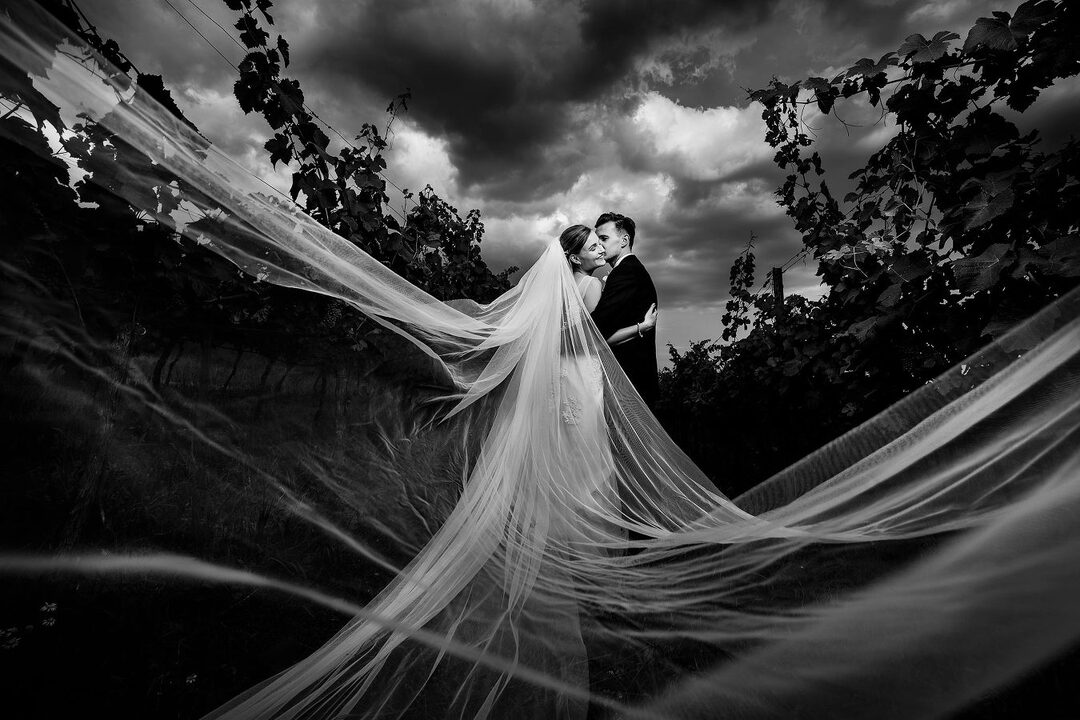 Manually added from URL: https://jindrichnejedly.com/user-content/galleries/WbjVrnyJ1aC4MSe3Un-GN/resized/lg/cfL0EYicKp5p-XOtRfY90.jpg?__version=1735415986