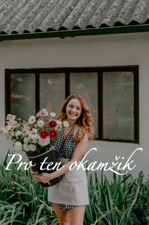 Logo of Pro ten okamžik