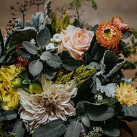 Customer review image