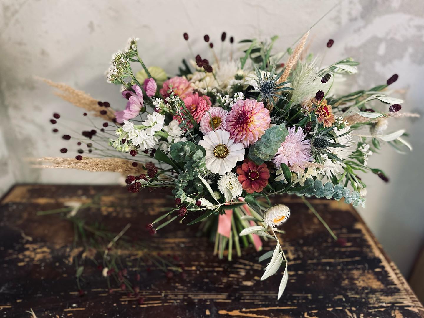 301651705_959030608306241_851750077384905073_n