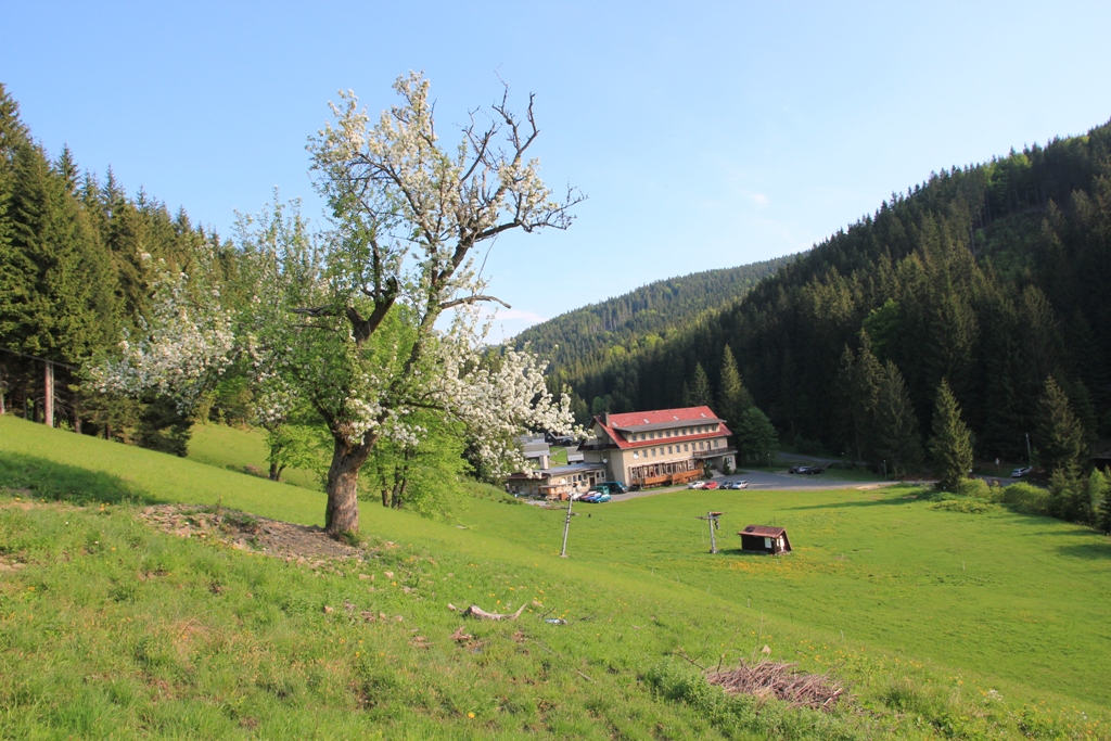 Interior view of Hotel Galik